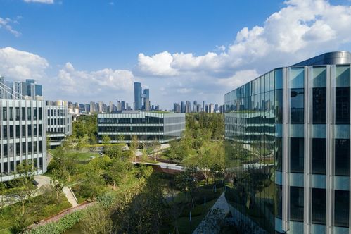 中国计算机世界出版服务公司携手新加坡 南京生态科技岛打造人工智能孵化中心